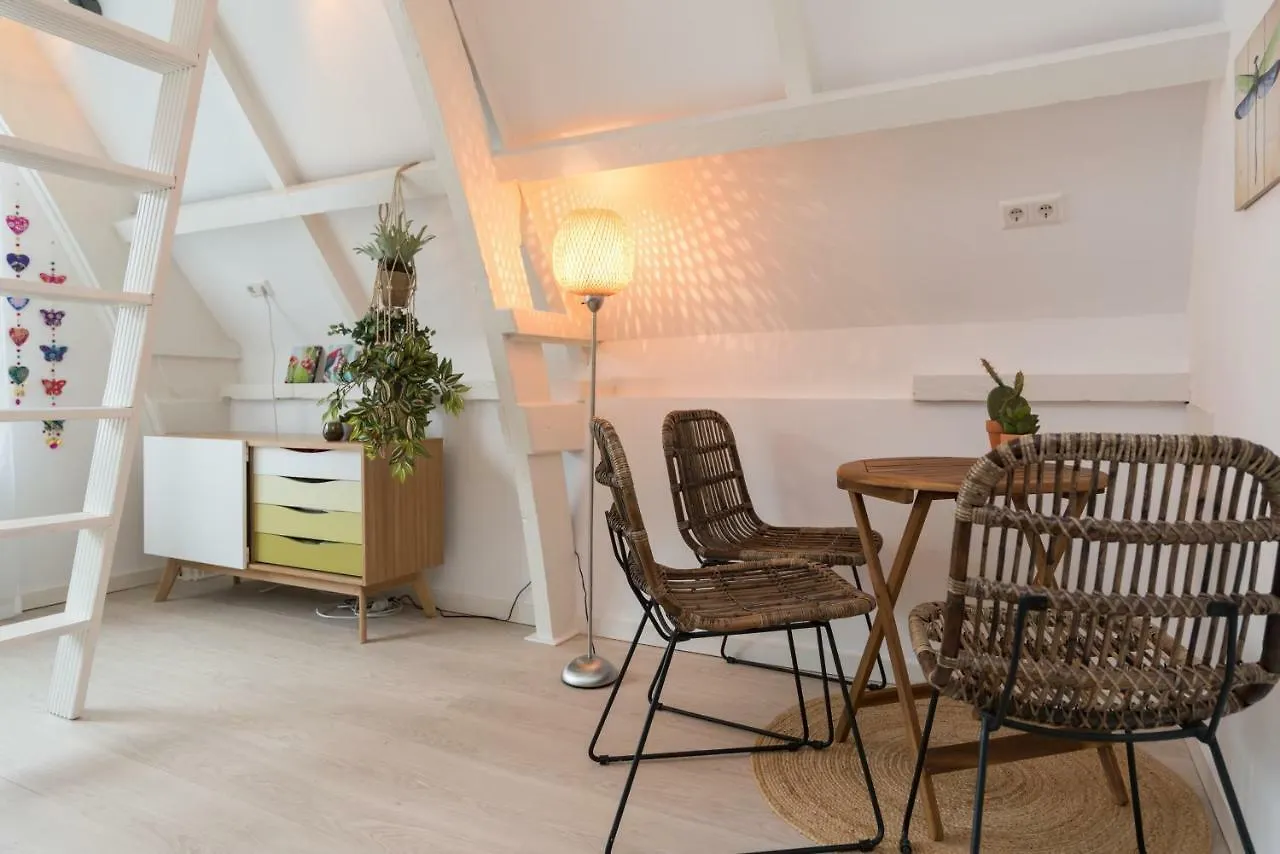 Way Up Studio Amsterdam Homestay