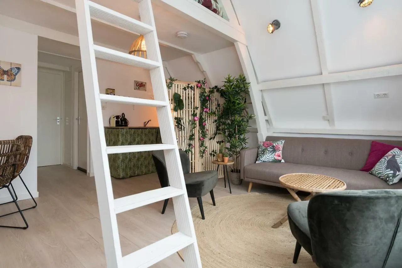 Way Up Studio Amsterdam